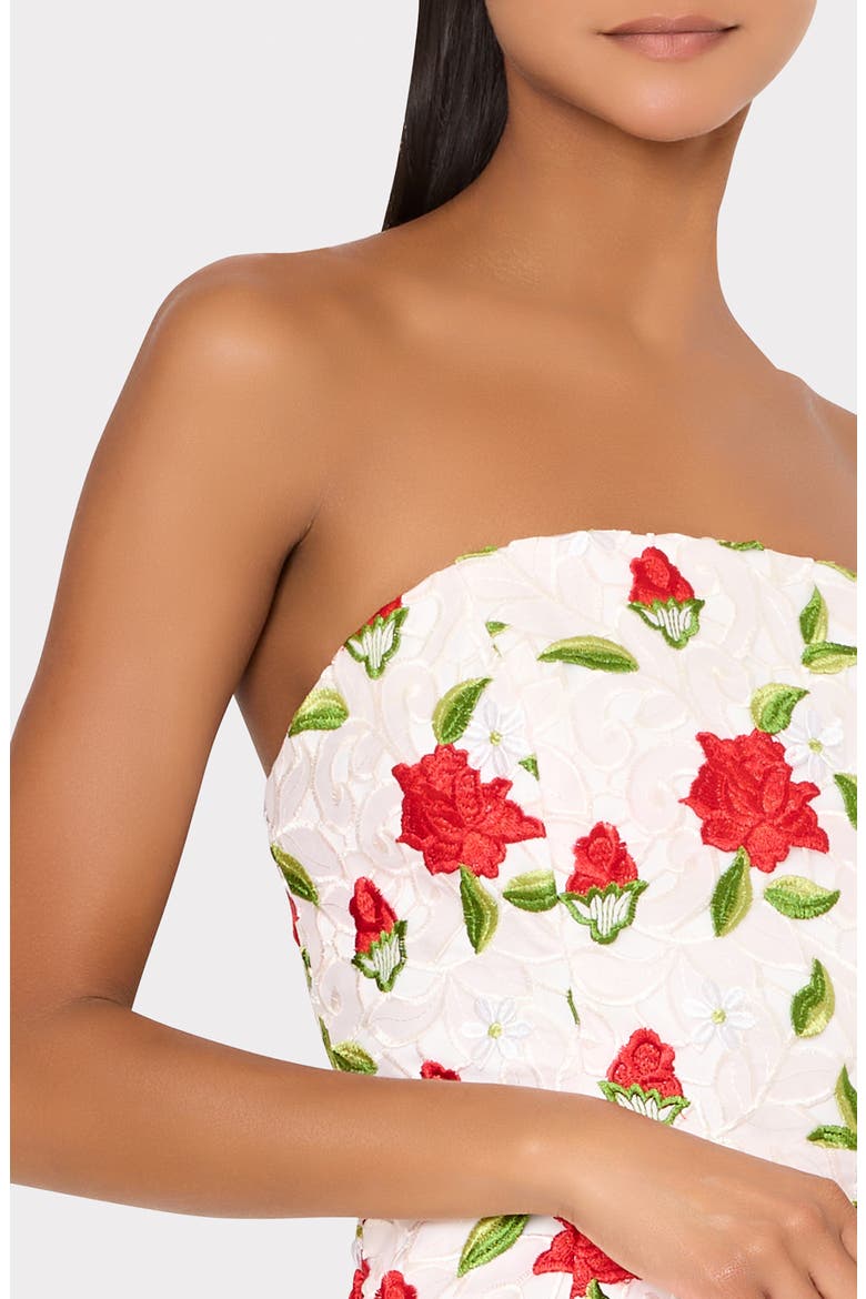 Kait Embroidered Strapless Midi Dress, Alternate, color, WHITE/ RED/ GREEN