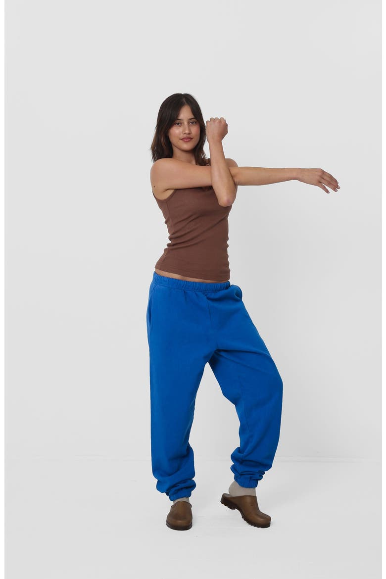 Trash Sweatpants, Alternate, color, Lapis