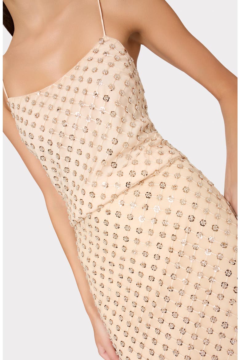 Rosemary Sequin Embroidery Skirt, Alternate, color, BEIGE