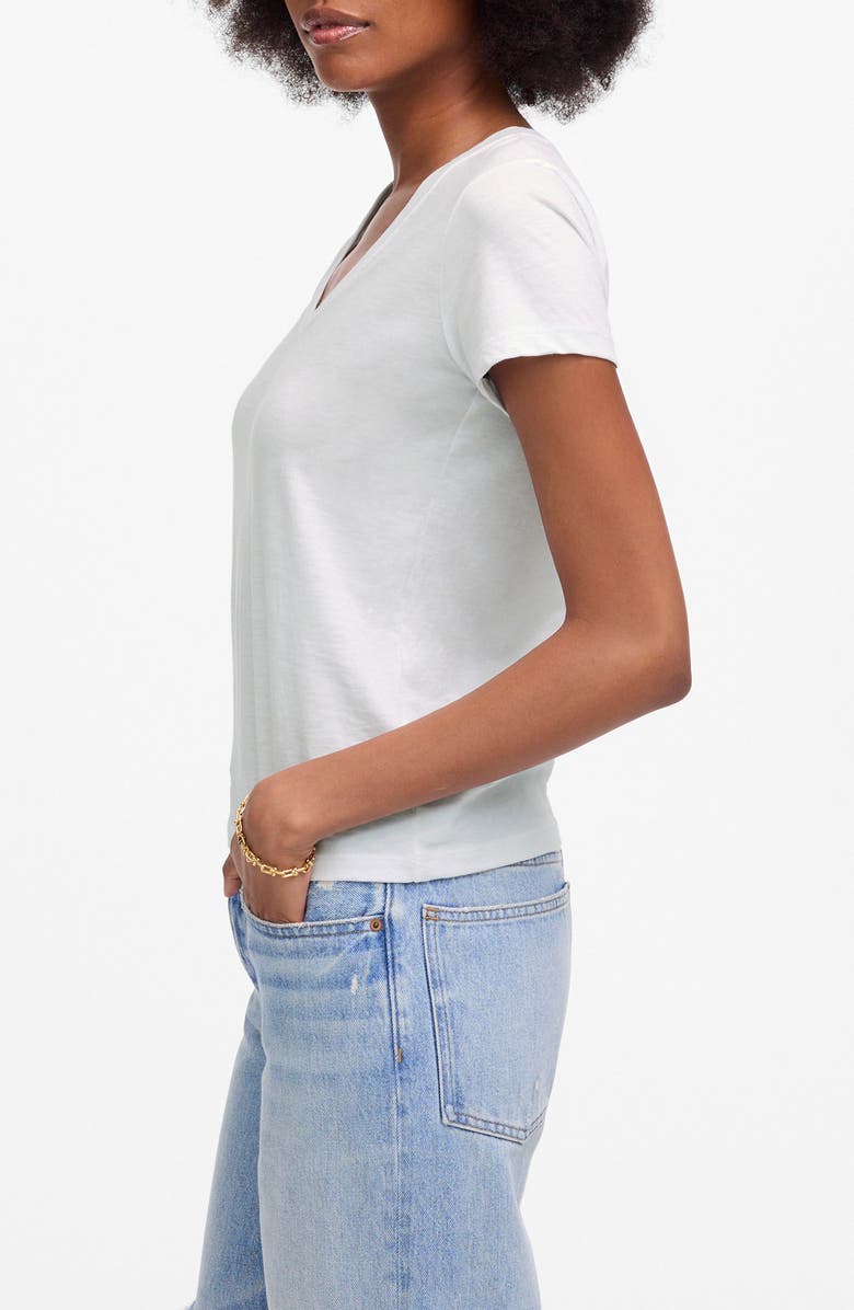 Madewell V-Neck Cotton Slub T-Shirt, Alternate, color, 