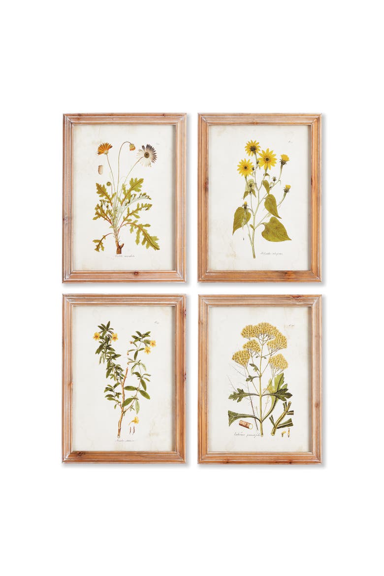 Golden Wildflower Study Set of 4, Main, color, Green