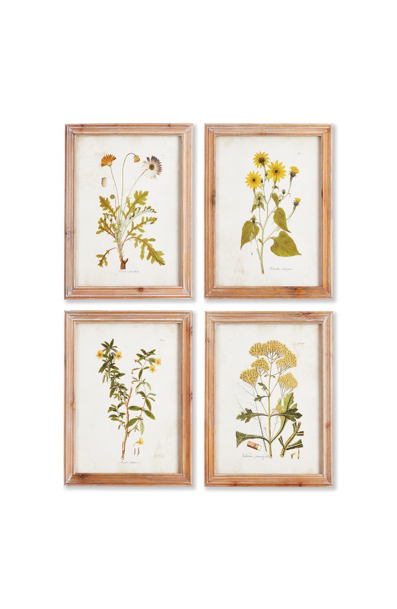 Napa Home & Garden Golden Wildflower Study Set of 4, Main, color, 