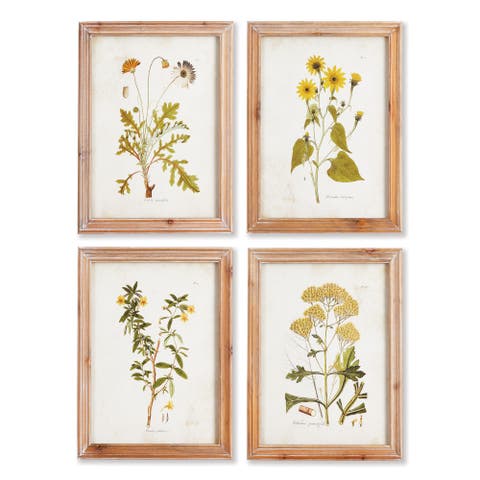 Golden Wildflower Study Set of 4