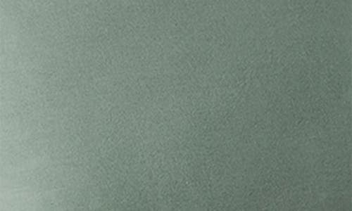 Coyuchi 300 Thread Count Organic Cotton Percale Pillow Sham In Juniper