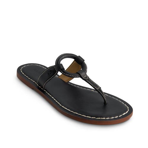 Bernardo Footwear Matrix 2 Thong Sandal In Navy
