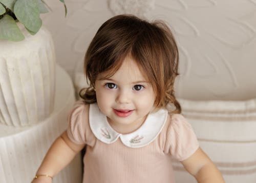 Ely's & Co. Organic Cotton Embroidered Collar Collection In Brown