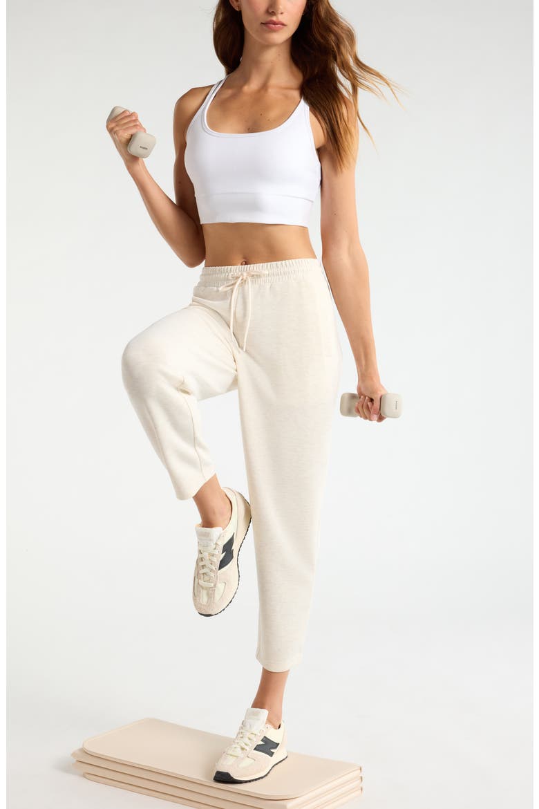 Soft Luxe Ankle Pants, Alternate, color, IVORY HEATHER- PURPLE