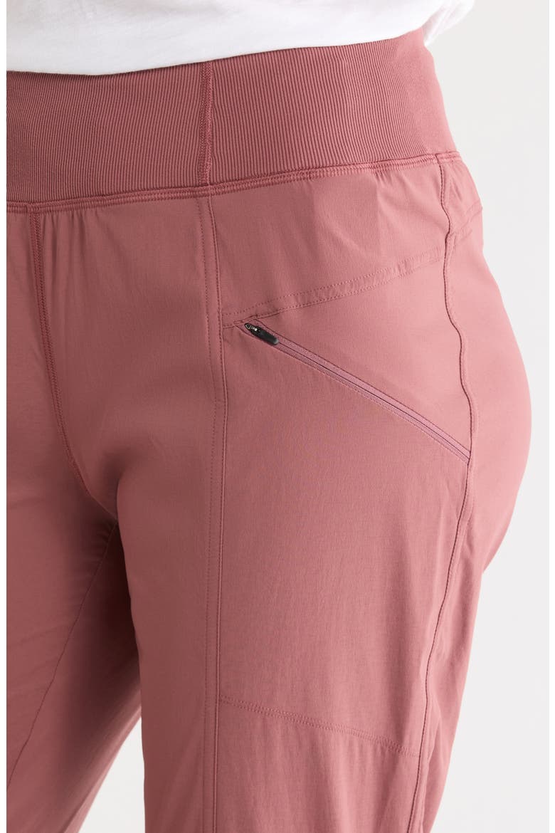 Koen Daily Slim Fit Pants, Alternate, color, NEWBERRY
