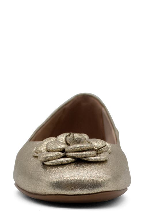 Bottero Botsamya Ballet Flat