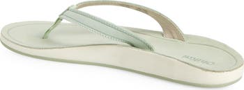 Southshore Flip Flop