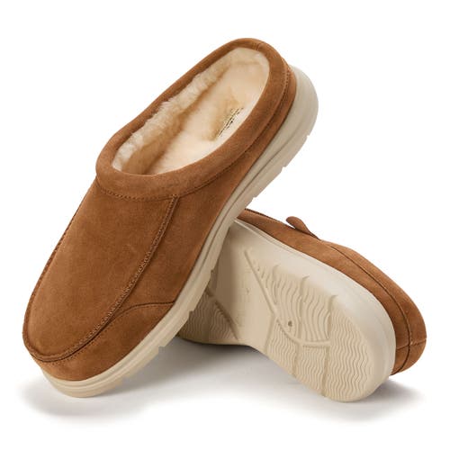 Dearfoams Lithgow Genuine Shearling Clog In Brown