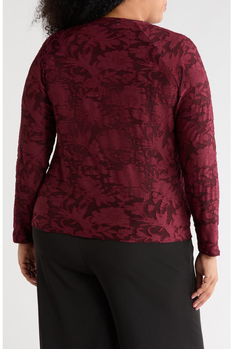 Raglan Long Sleeve Top, Alternate, color, WINE