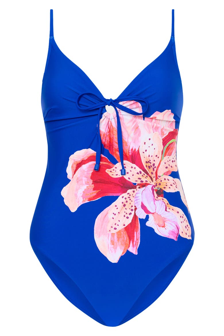 Songe Diris One-Piece Swimsuit, Alternate, color, BLUE MULTI