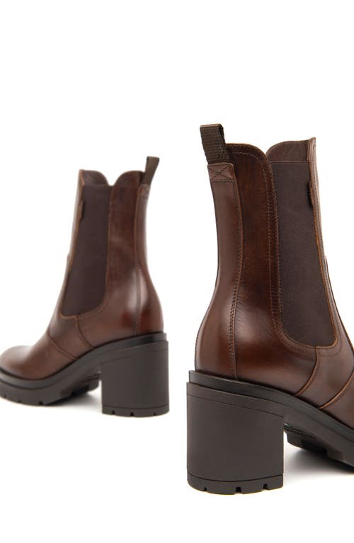 Nerogiardini Platform Chelsea Boot In Brown