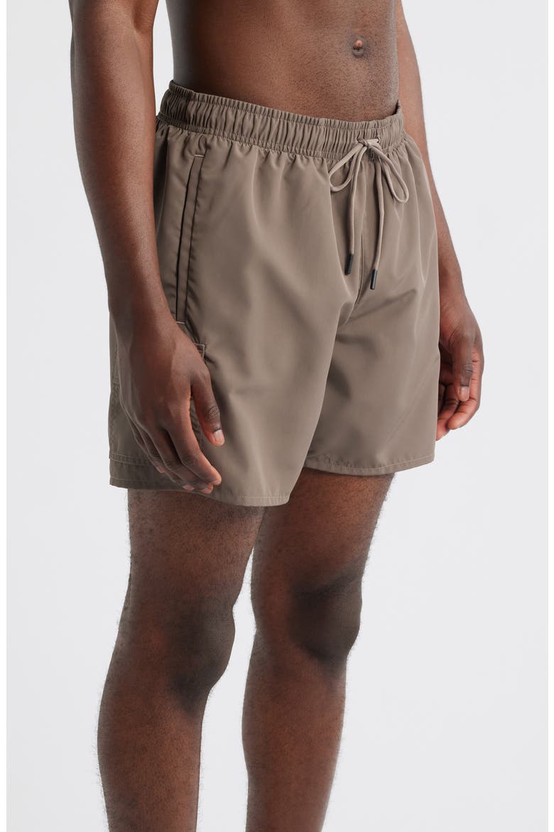 Dive Swim Trunks, Alternate, color, MEDIUM BROWN