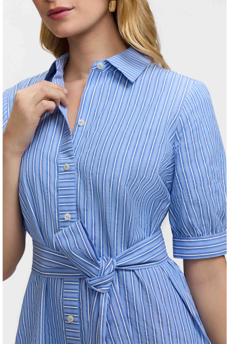 Esther Belted Stripe Cotton Shirtdress, Alternate, color, BLUE MULTI