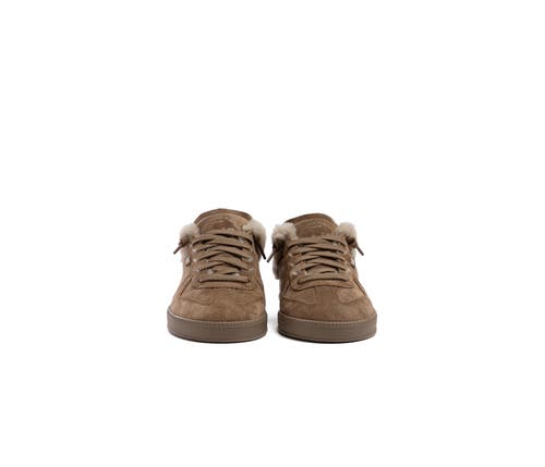 P448 Monaco Sneaker In Brown