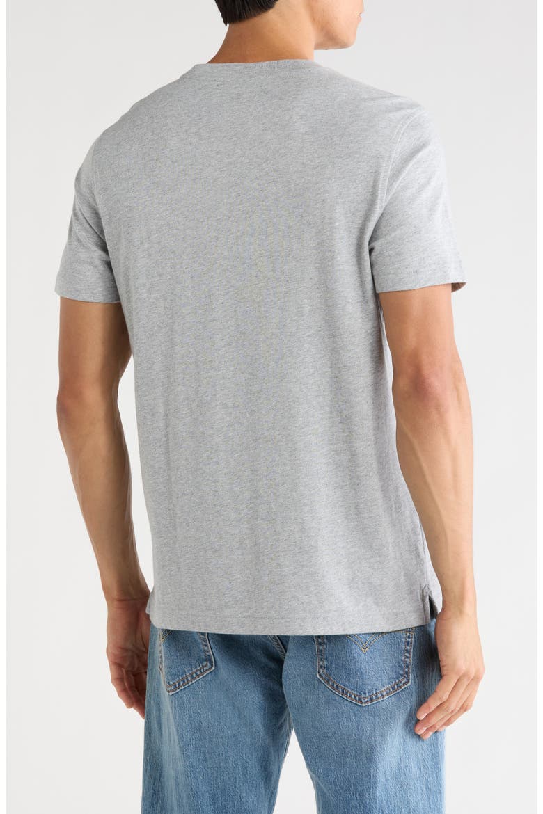 Golden Fleece Cotton T-Shirt, Alternate, color, GREY