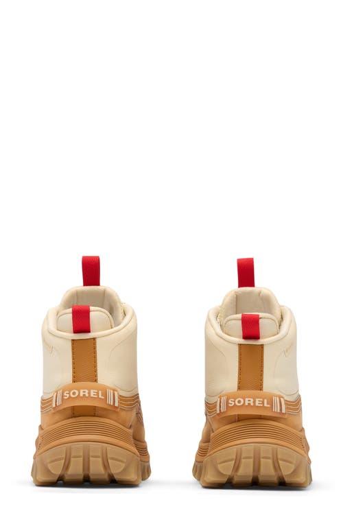 Sorel Callsign Horizon™ Mid Gtx Gore-tex® Waterproof Sneaker In Neutral