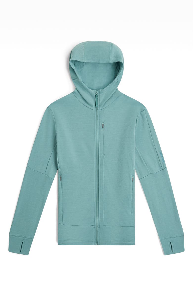 Icebreaker 260 Quantum Merino Wool Hooded Jacket, Alternate, color, Hydro