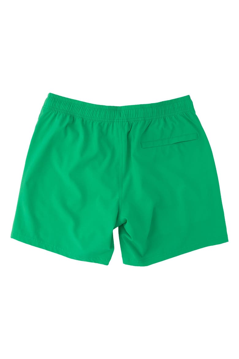 Men's UPF50+ Color Changing Performance Hybrid Swim Trunks, Alternate, color, Bright Green Gators
