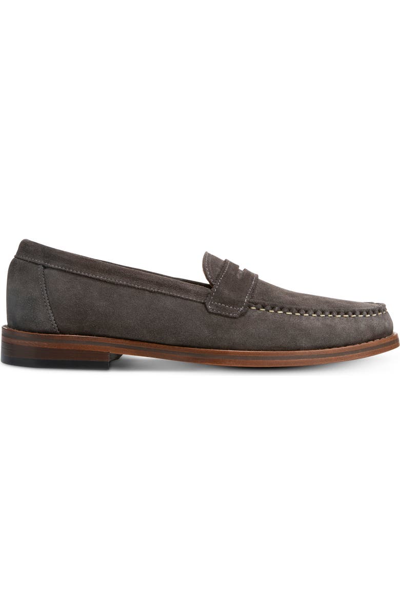 Allen Edmonds Dylan Penny Loafer, Alternate, color,