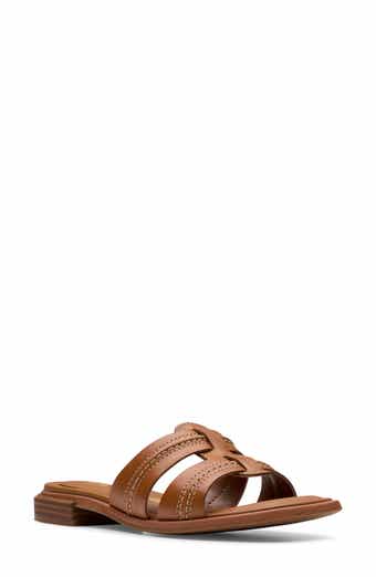 Ariany Mule