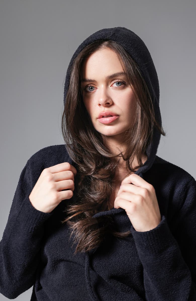 Sunday Citizen Snug Lite Hoodie, Alternate, color, Coal