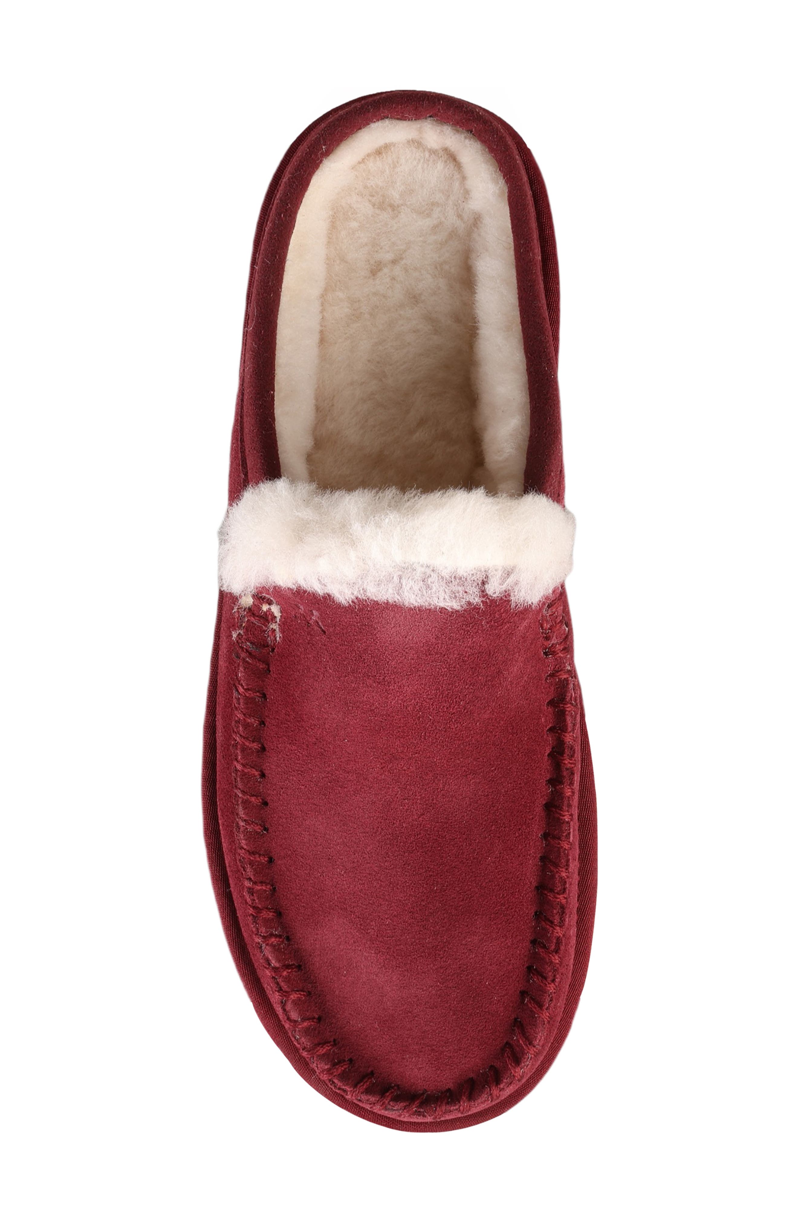 Suede Genuine Shearling Lined Water Repellent Clog, Alternate, color, WINE