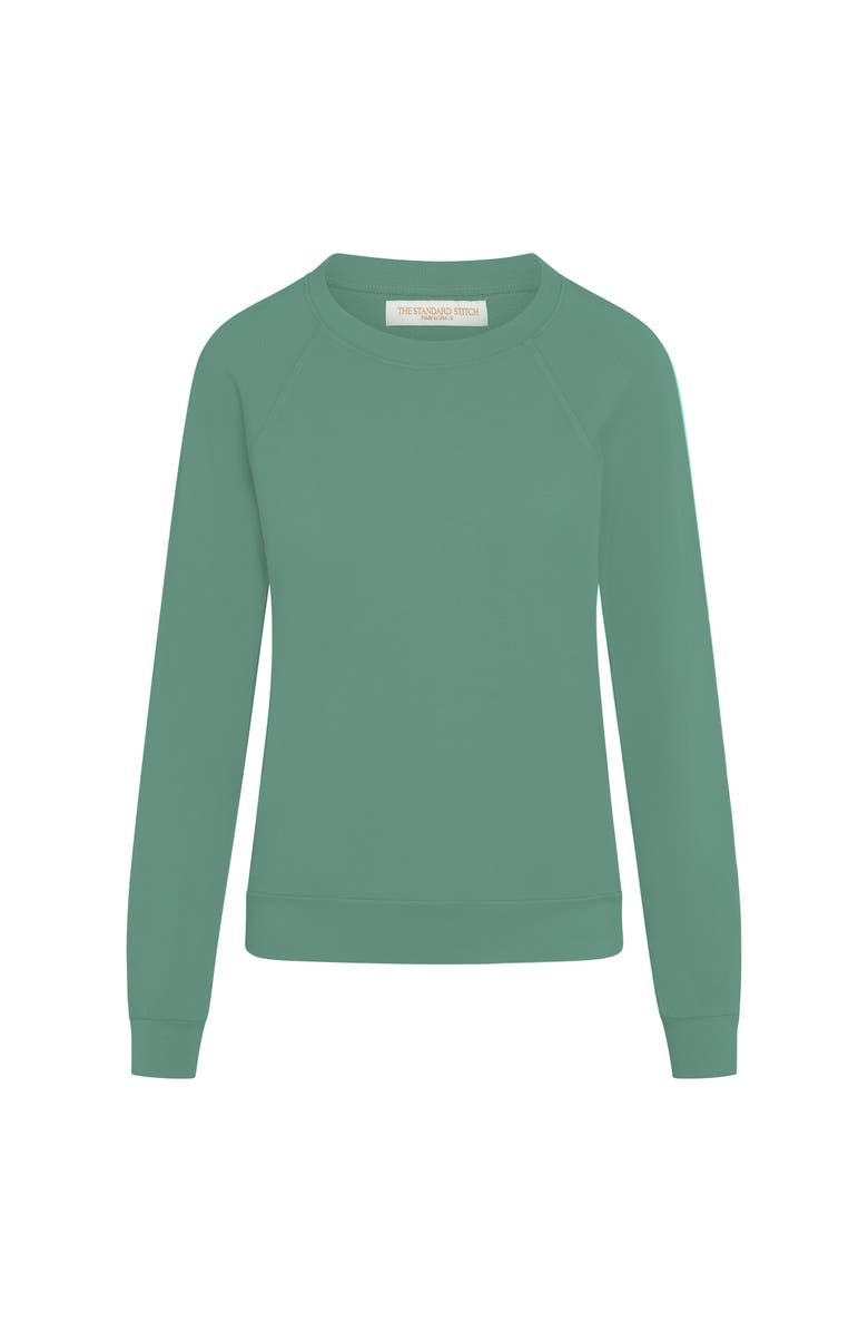 The Standard Stitch The Organic Cotton Raglan Sweatshirt, Alternate, color, Aloe