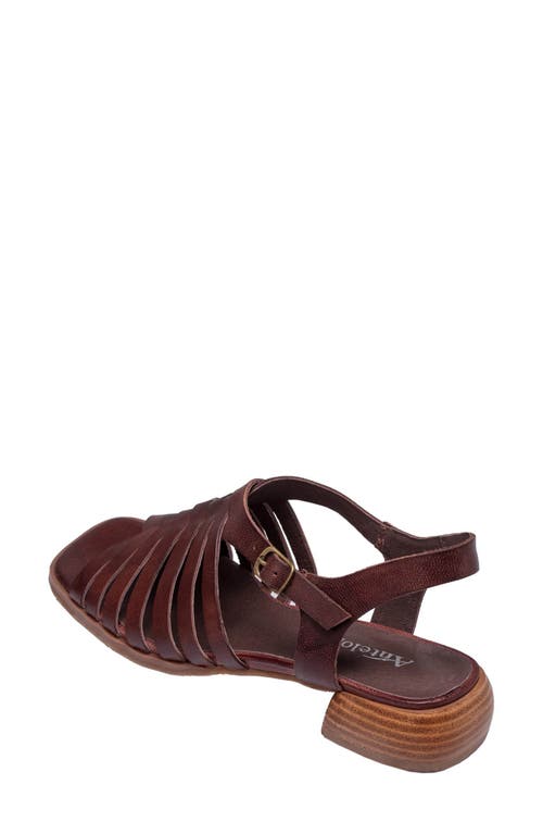 Antelope Leni Woven Slingback Sandal In Coffee