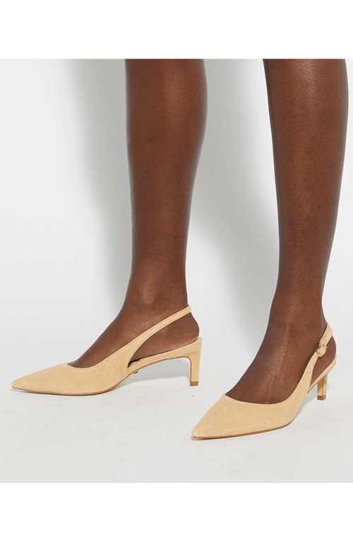 Dune London Celinna Pointed Toe Slingback Pump