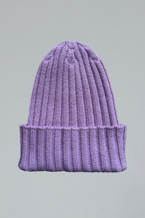 Sskein Ribbed Beanie In Purple