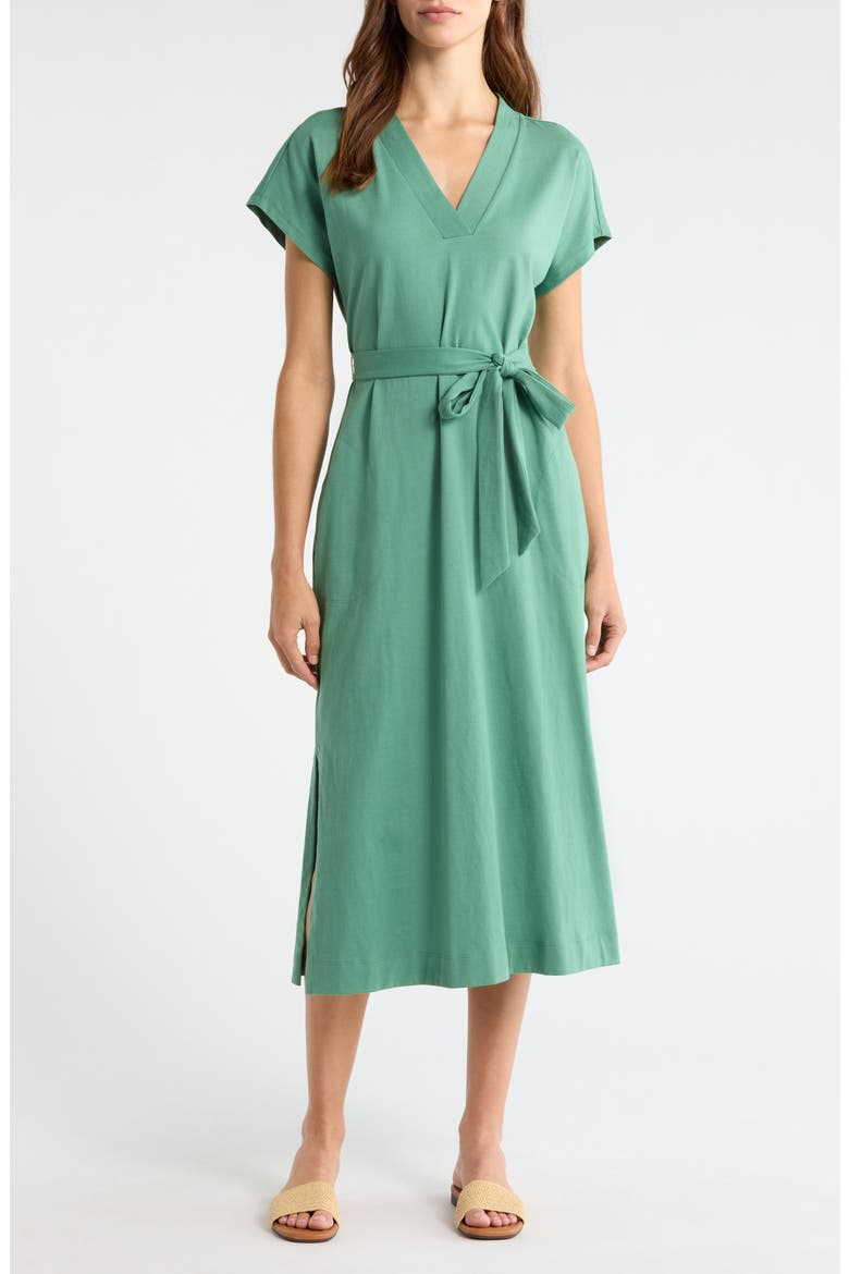Islandscape Cotton Jersey Midi Dress, Main, color, SPRUCE FROST