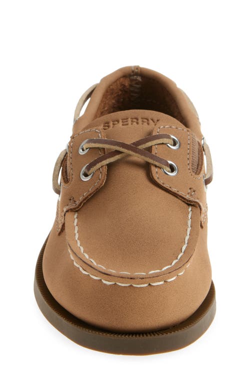 Sperry Kids' Authentic 2-eye Nubuck Boat Shoe In Chestnut