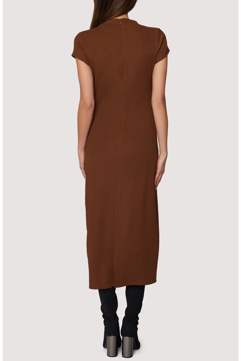 Eden's Serenade Midi Dress, Alternate, color, BROWN