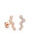 selected Rose Gold
