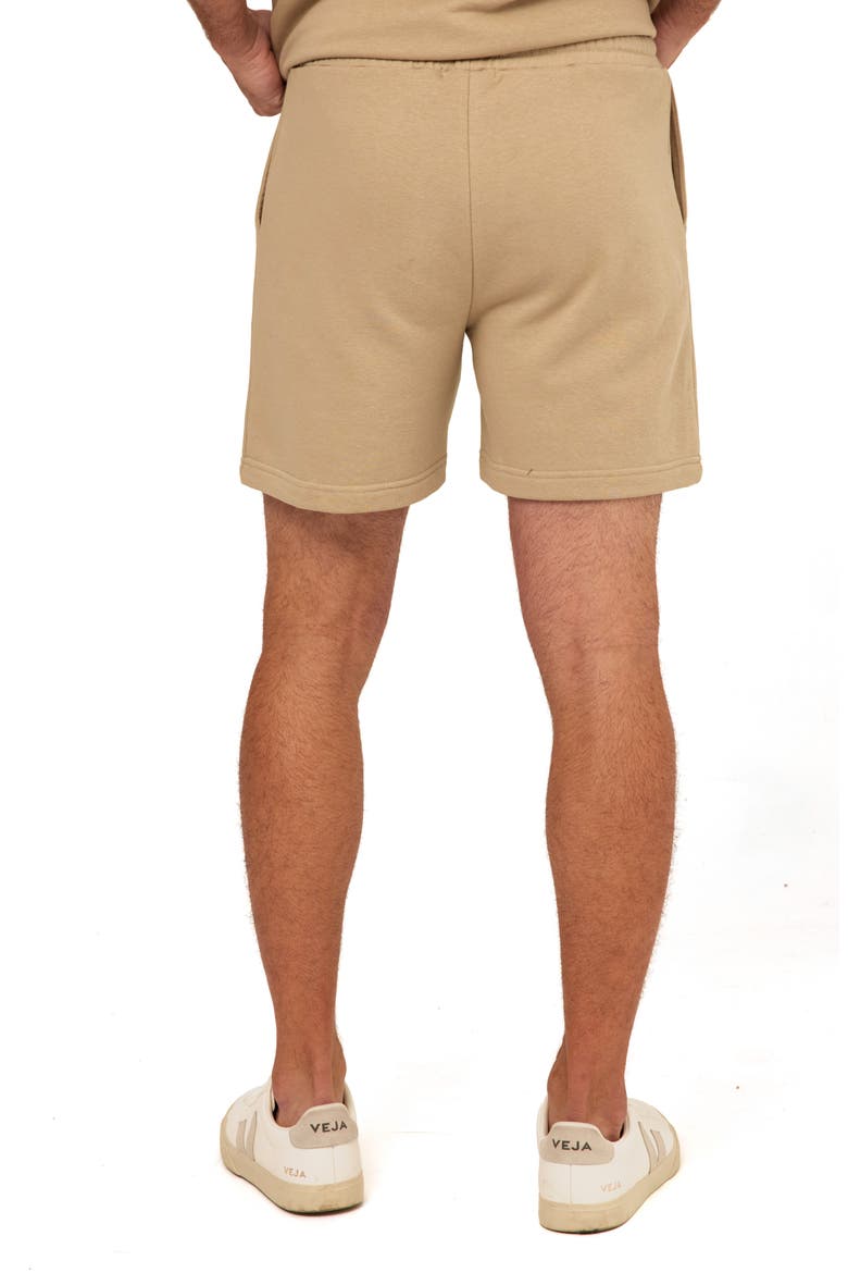 Easton Pleated Mineral Wash Terry Cloth Shorts, Alternate, color, PEBBLE