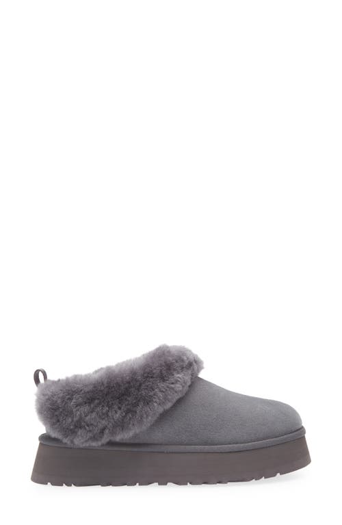 Ugg(r) Tazzelle Genuine Shearling Collar Slipper In Black