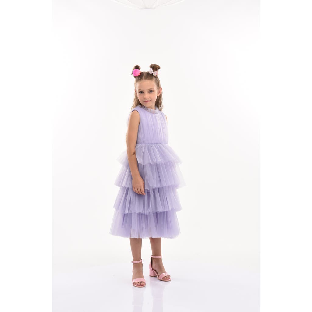 Tulleen Farvue Tiered Tulle Dress In Purple