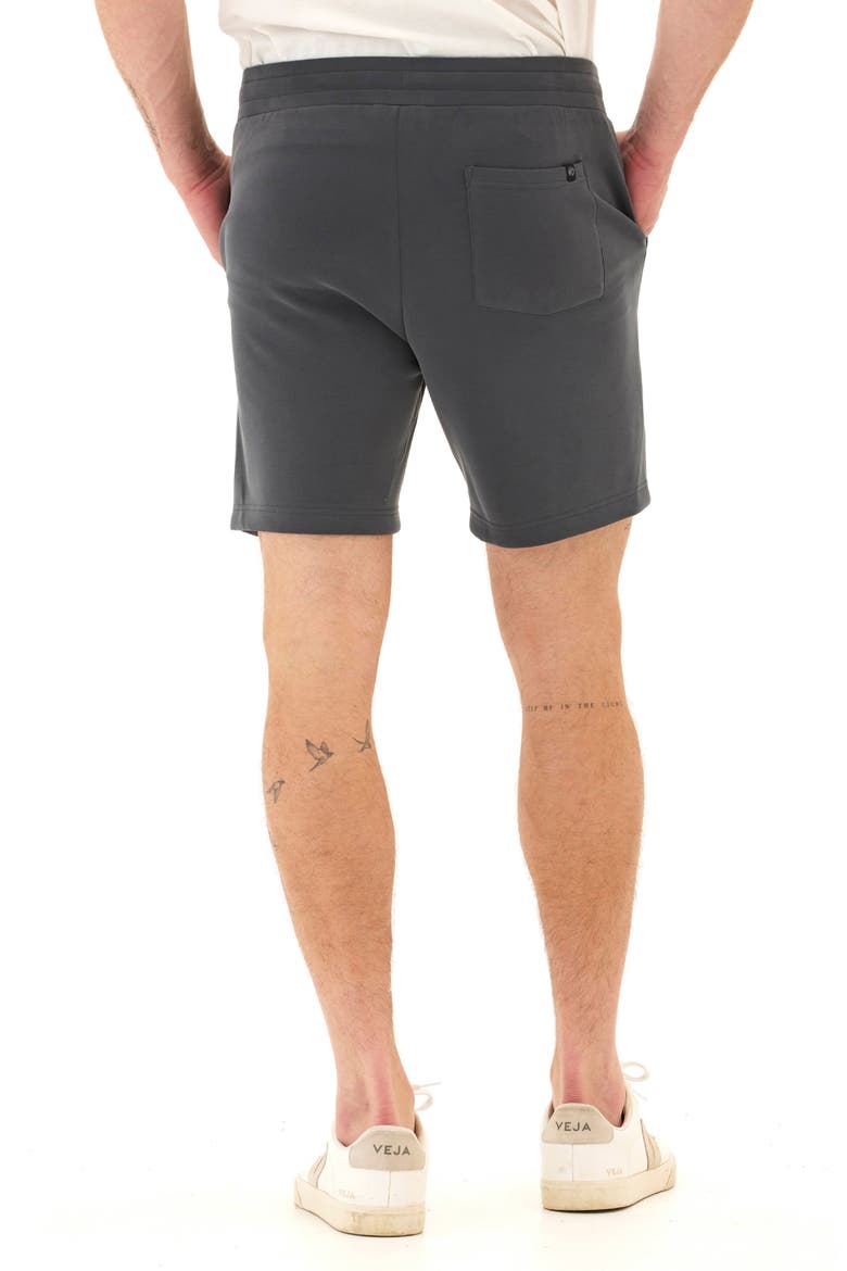 Garrett Peached Drawstring Shorts, Alternate, color, CARBON