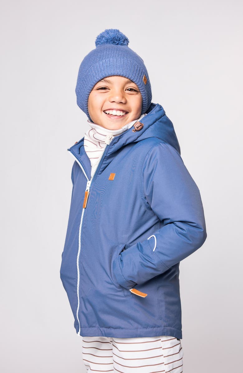 Northern Classics Winter Coat, Alternate, color, Mountain Blue