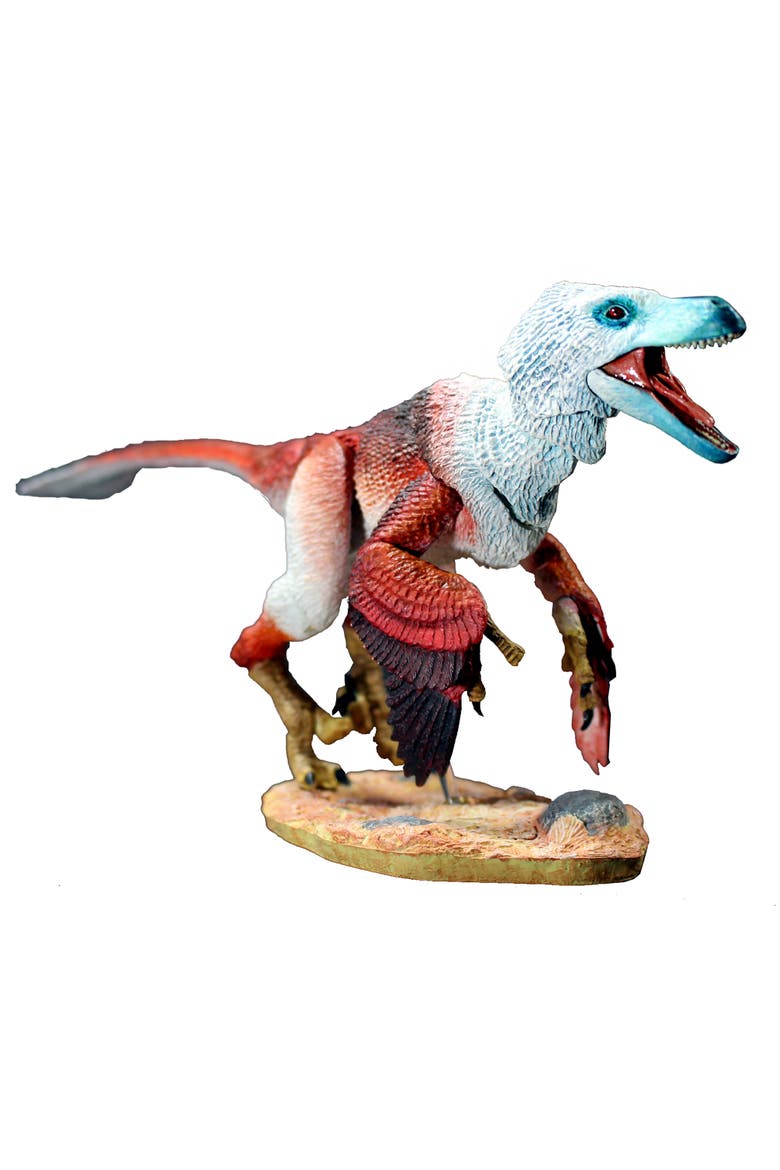 Velociraptor Osmolskae Dinosaur Action Figure, Main, color, Multicolored