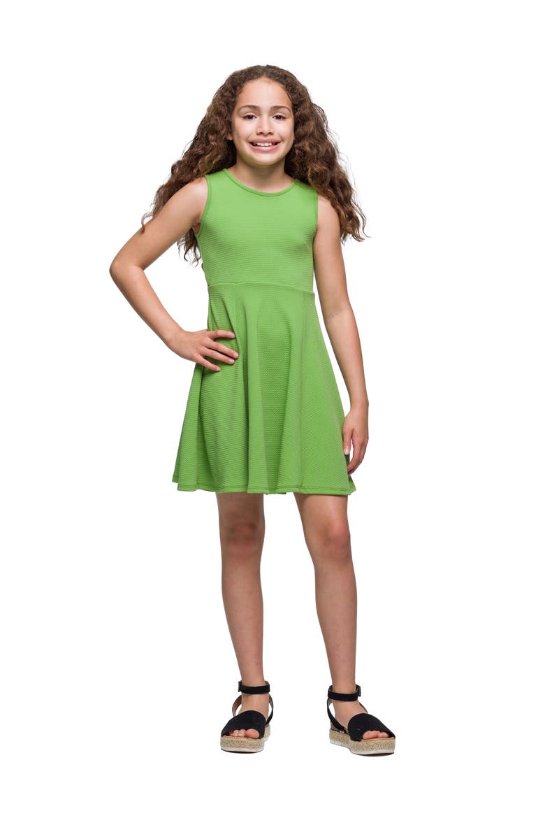 Sleeveless Knee Length Fit and Flare Dress, Main, color, Kiwi