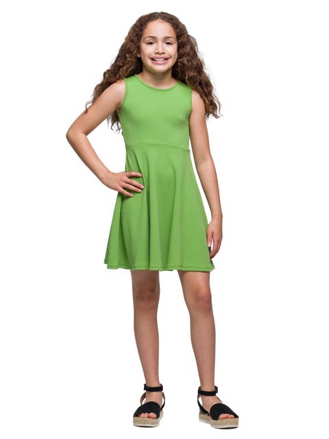 Sleeveless Knee Length Fit and Flare Dress