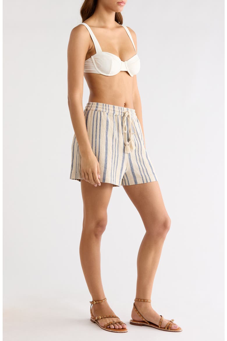 Stripe Cotton Drawstring Shorts, Alternate, color, BEIGE/ BLUE STRIPE