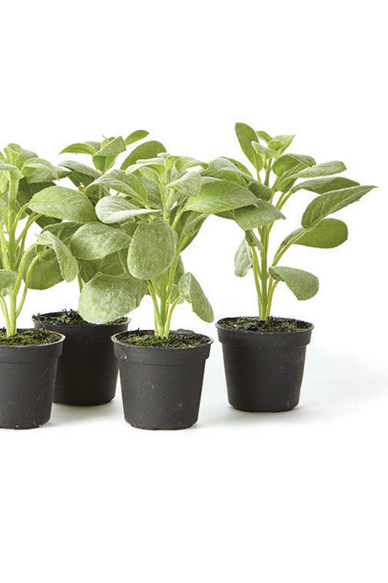 Sage Drop-In 6.5" , Set Of 6, Alternate, color, Green