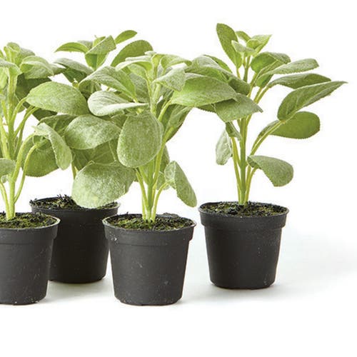 Napa Home & Garden Sage Drop-in 6.5" , Set Of 6 In Green