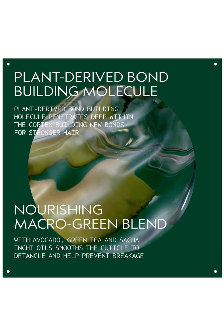botanical repair™ Intensive Strengthening Masque Rich, Alternate, color, NO COLOR