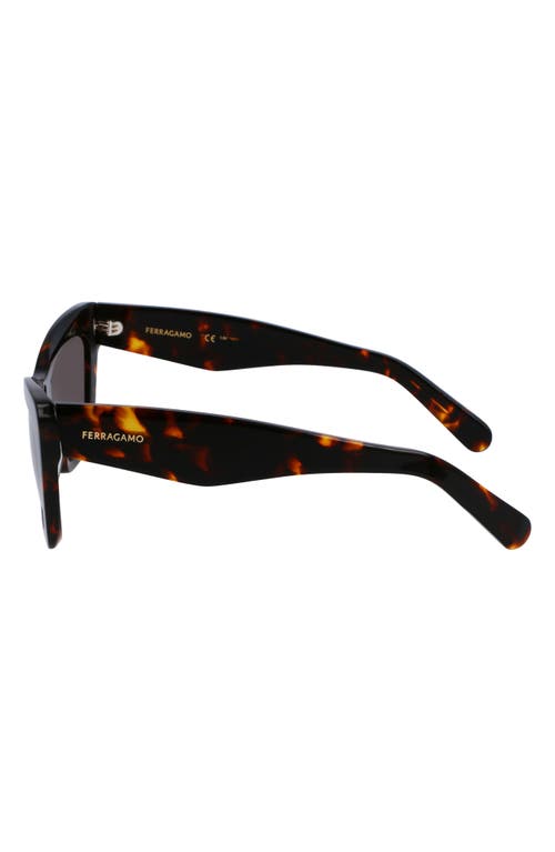 Ferragamo 55mm Butterfly Sunglasses In Dark Tortoise
